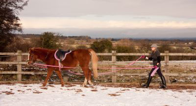 women long reining her horse on a snowy day